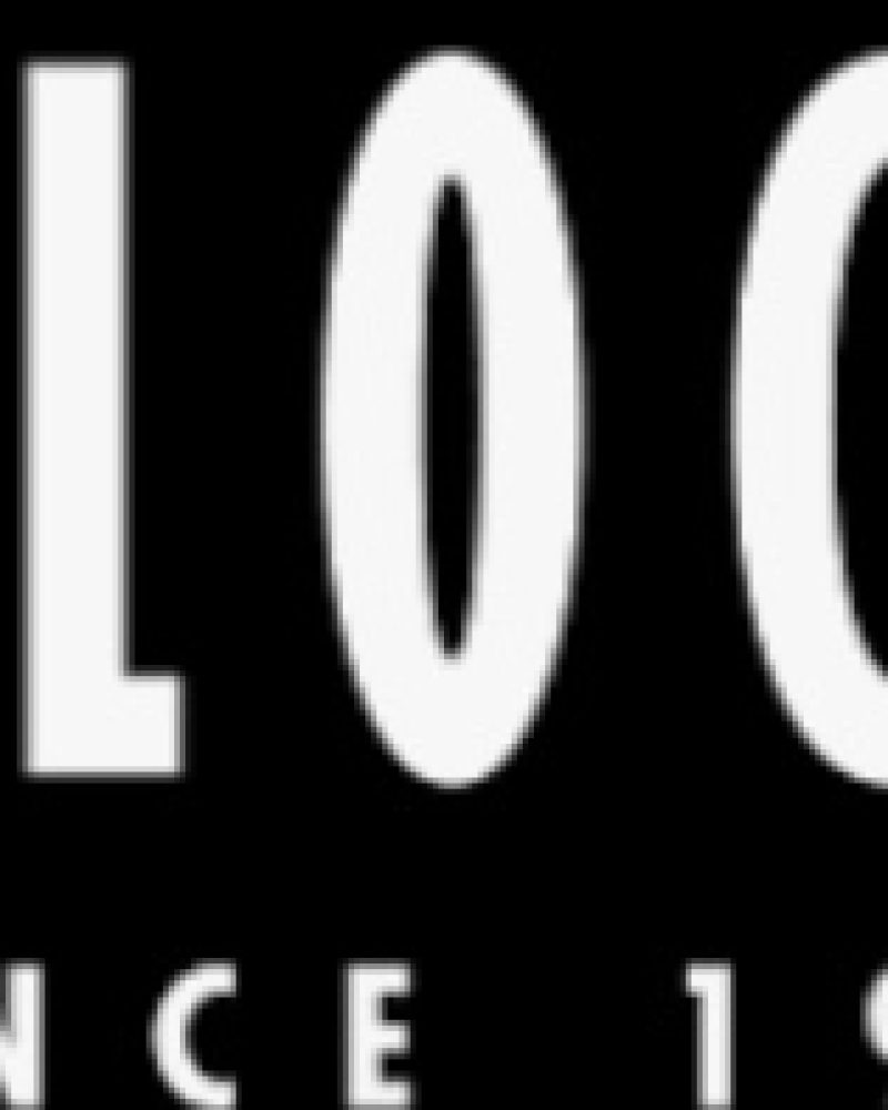 Bloch Pointe shoes